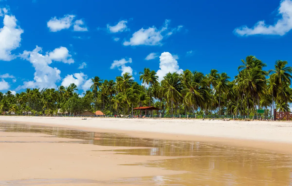 Imagem da galeria de Porto de Galinhas